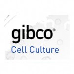 gibco